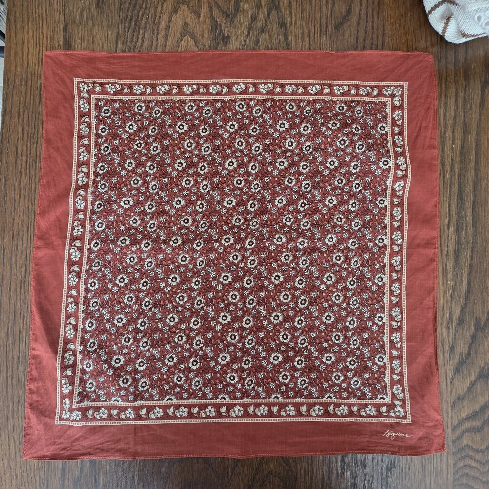 Sezane Scarf in Terracotta